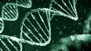 Dettagli sulla genealogia genetica forense