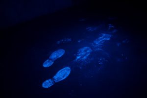 Tracce di sangue e impronte di scarpe rilevate con il luminol