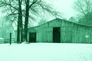 Dietro l’orrore di Ed Gein ci sono volti dimenticati. Chi erano le vere vittime del macellaio di Plainfield e quali erano le loro storie?