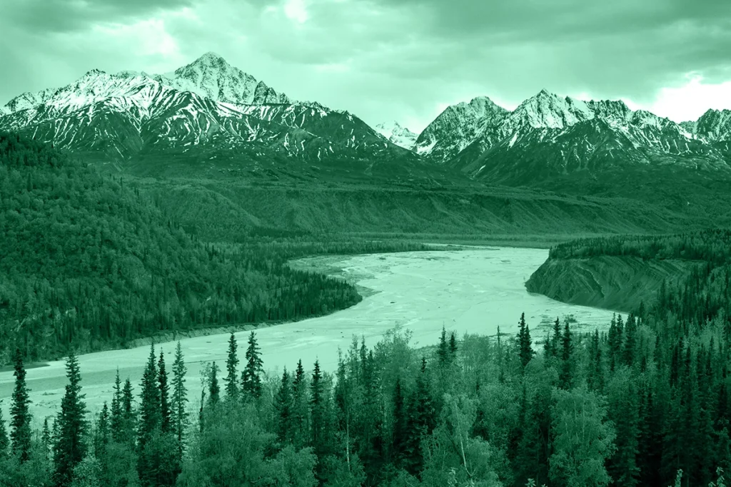 Scopri i cinque cold case più famosi dell’Alaska, tra delitti irrisolti e indagini storiche che hanno cambiato il destino dei casi.