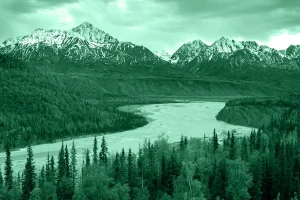 Scopri i cinque cold case più famosi dell’Alaska, tra delitti irrisolti e indagini storiche che hanno cambiato il destino dei casi.