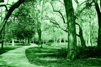 Ashley Wasielewski, donna della Georgia attaccata con l’acido durante una passeggiata al parco, ha riportato gravi ustioni. Si cerca il colpevole.
