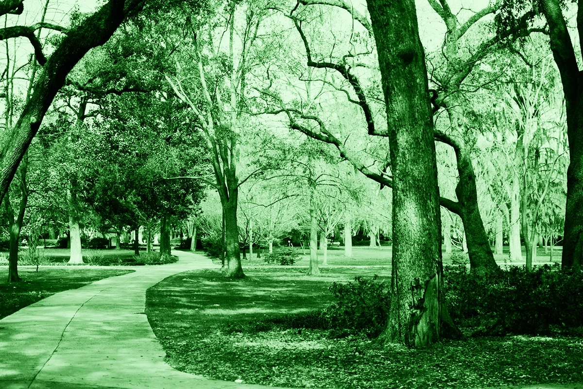Ashley Wasielewski, donna della Georgia attaccata con l’acido durante una passeggiata al parco, ha riportato gravi ustioni. Si cerca il colpevole.