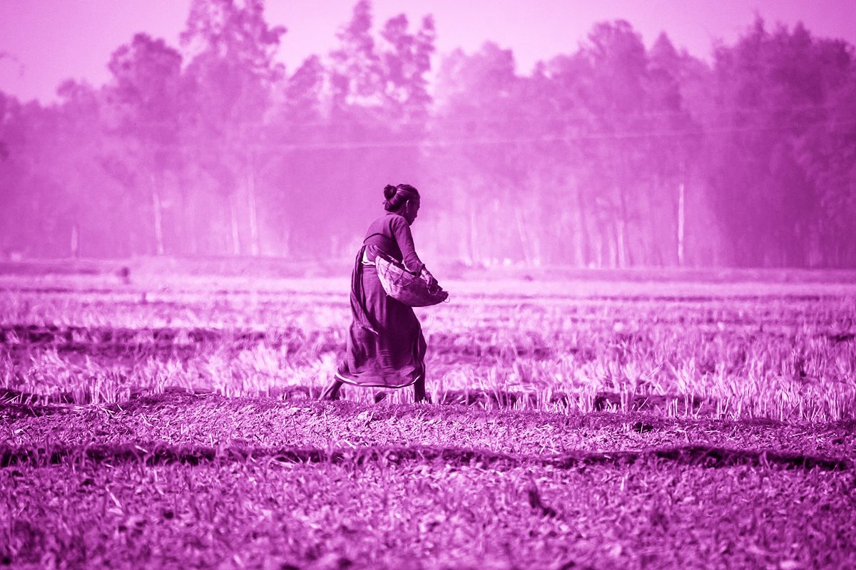 Il femminicidio di Hathras racconta la tragica morte di una giovane Dalit in India, tra violenza, caste e polemiche sulla giustizia.