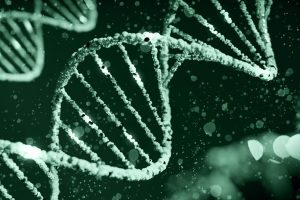 Dettagli sulla genealogia genetica forense