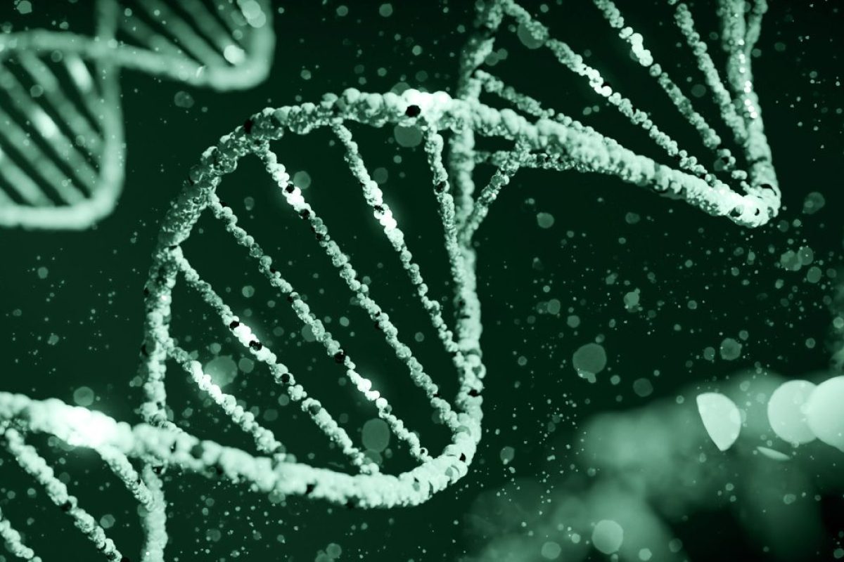Dettagli sulla genealogia genetica forense