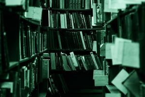 I migliori libri true crime della prima metà del 2025