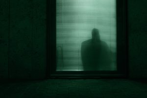 cosa sono le parabile criminali